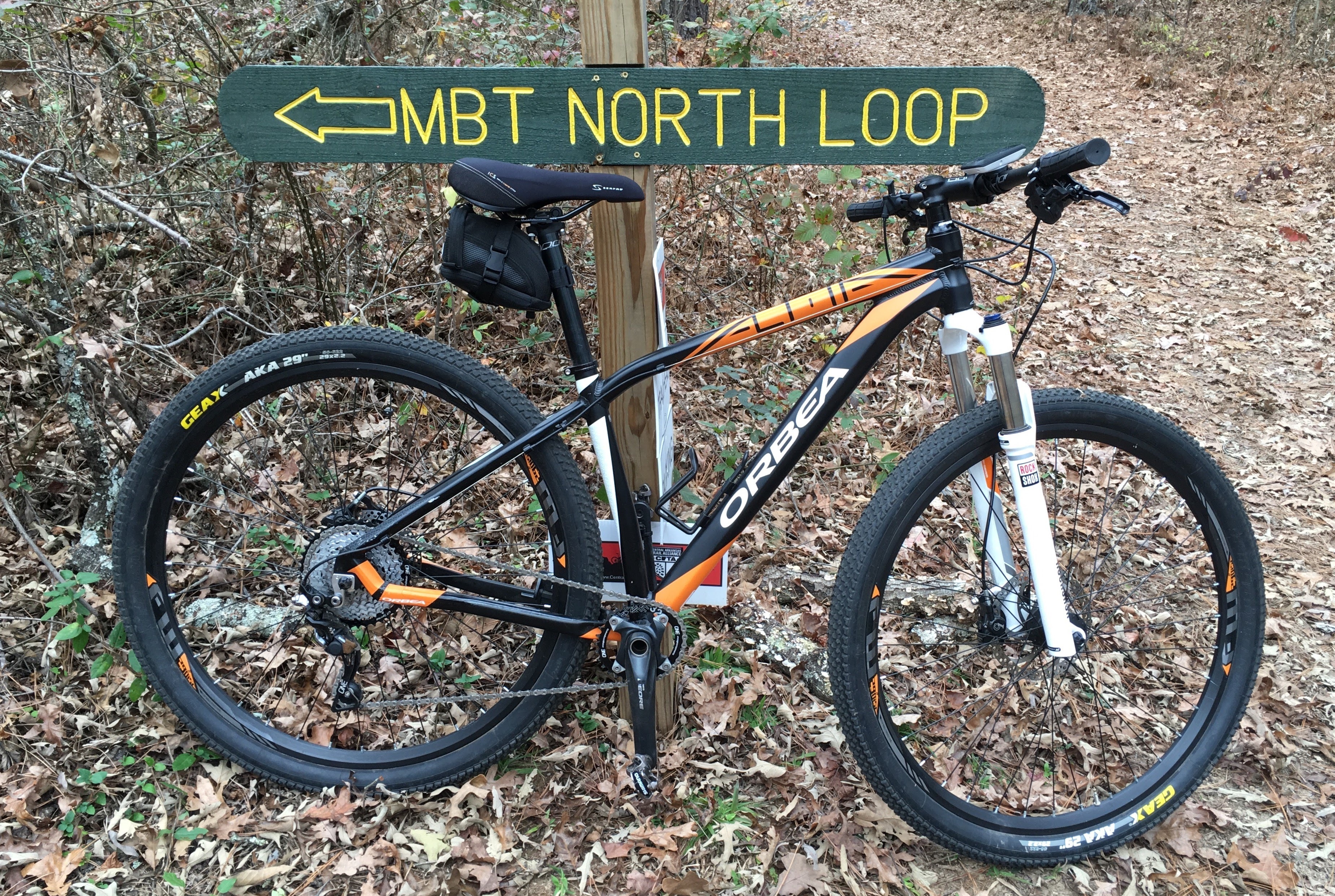 2013 Orbea Alma Hydro 29er