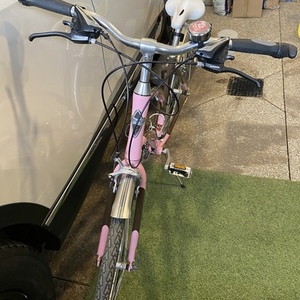 2013 Electra Verse 240 Wmn Pink and Brown