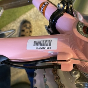 2013 Electra Verse 240 Wmn Pink and Brown