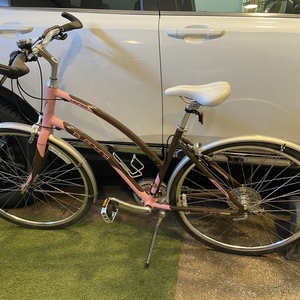 2013 Electra Verse 240 Wmn Pink and Brown