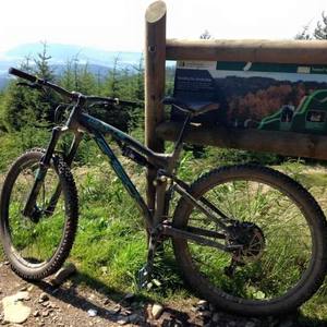 2015 Whyte G-150s Green, Yellow or Gold, and Blue