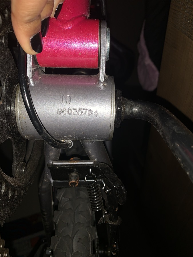 power climber next bike pink