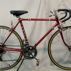 Fuji Junior Red