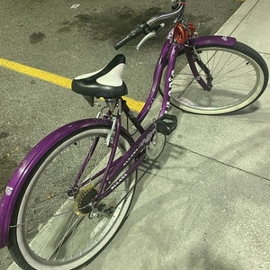 2008 Kuluna Sunfish Purple