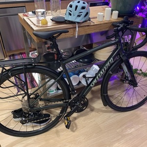 2020 Specialized Diverge Elite e5 Green
