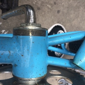 Schwinn Sprite Blue