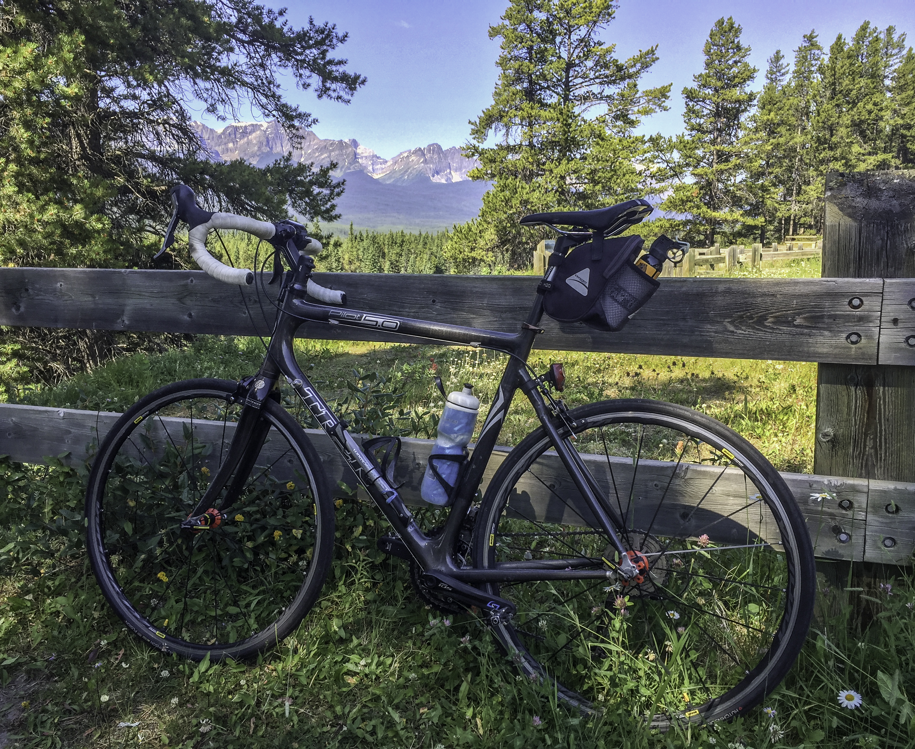 2006 Trek Pilot 5.0