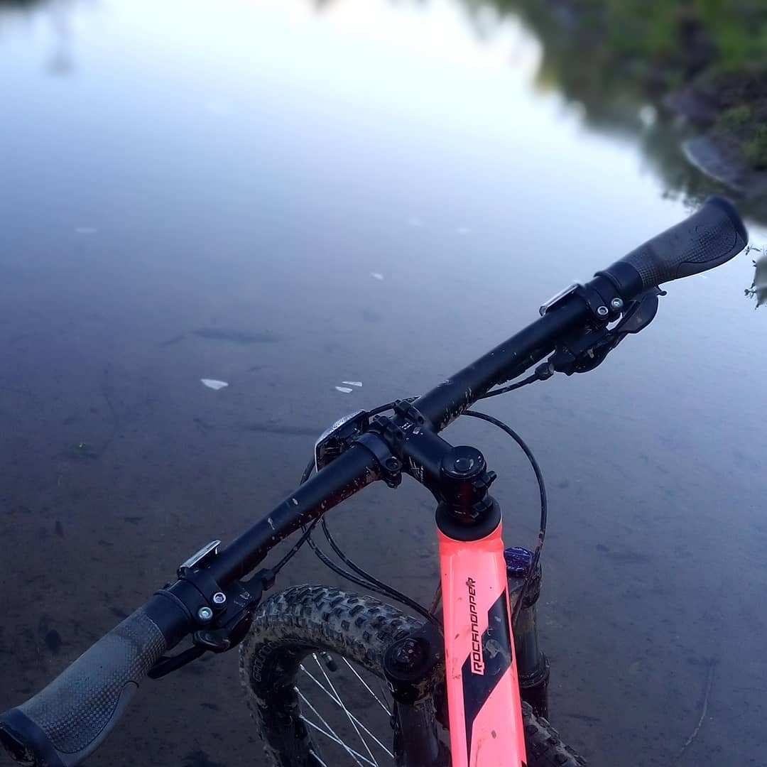 Stolen Specialized Rockhopper