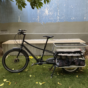 2016 Xtracycle Edgerunner 30D Black