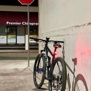 2020 Specialized Rockhopper Sport 29 XL Green