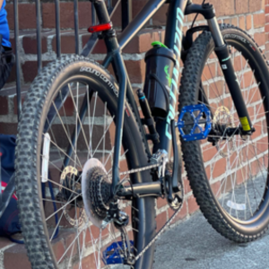 2020 Specialized Rockhopper Sport 29 XL Green