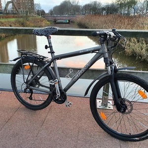 Giant Terrago Silver, gray or bare metal