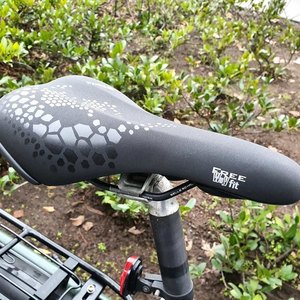 Giant Terrago Silver, gray or bare metal