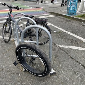 Rad Power Bikes White