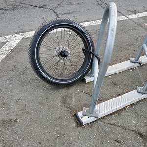 Rad Power Bikes White