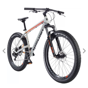 2021 Nishiki Colorado Silver, gray or bare metal