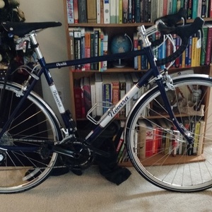 2014 Novara Verita Blue