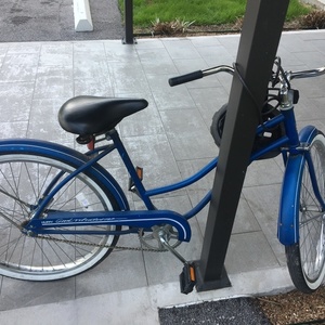 Huffy Blue
