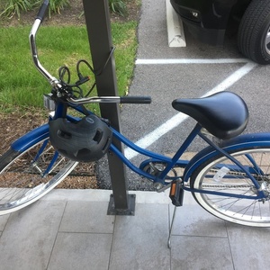 Huffy Blue