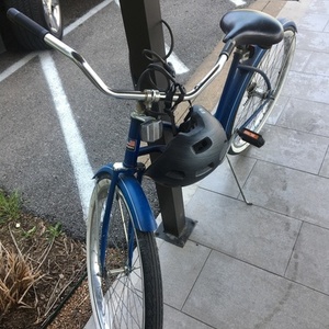 Huffy Blue