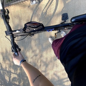 2019 Trek FX3 Disc 17.5 Black