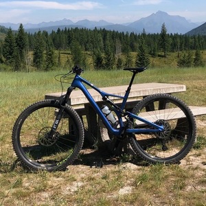 2019 Specialized Stumpjumper Blue