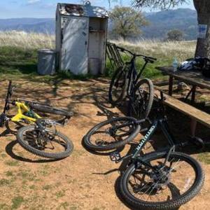 2020 Specialized Rockhopper Sport 29 XL Green
