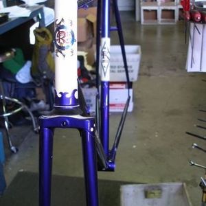 2009 Rivendell Bicycle Works Custom Purple