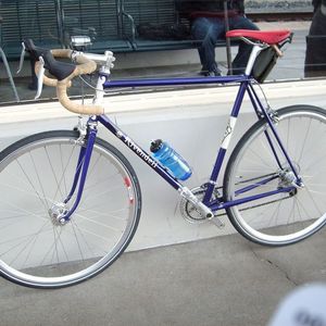 2009 Rivendell Bicycle Works Custom Purple