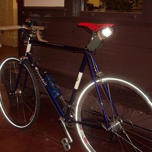 2009 Rivendell Bicycle Works Custom Purple