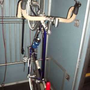 2009 Rivendell Bicycle Works Custom Purple