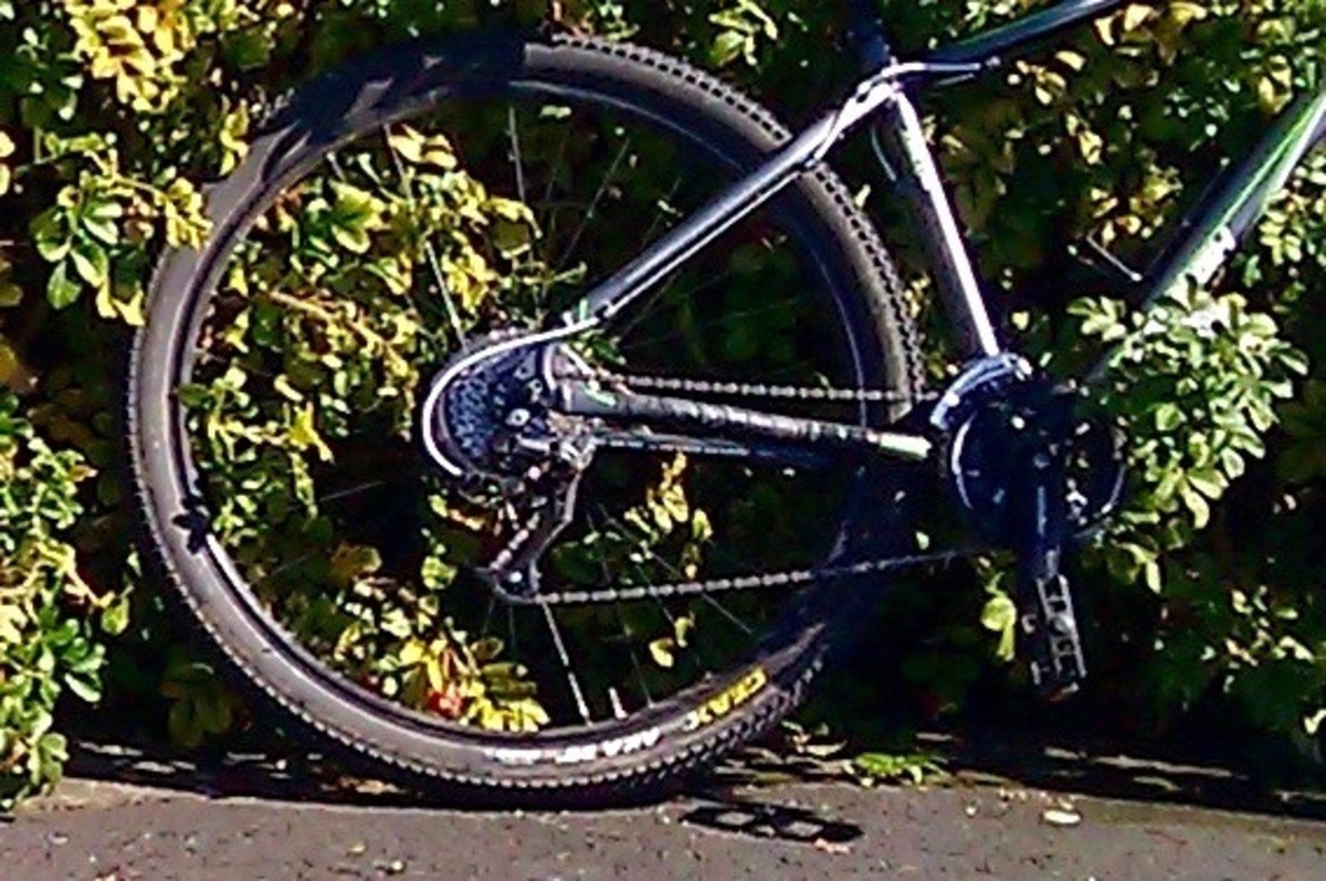 raleigh talus 29r