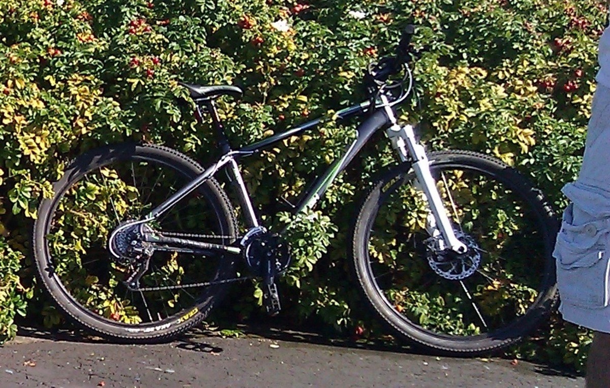 raleigh talus 29r