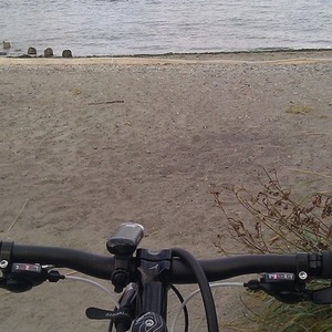 2012 Raleigh Talus 29er Black and Green