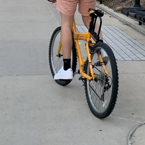 2006 Giant Yellow or Gold