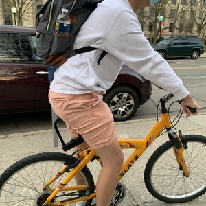 2006 Giant Yellow or Gold