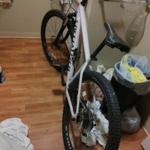Specialized Rockhopper Comp 29 Purple