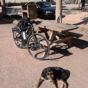 2015 Specialized Sirrus Elite Carbon Black