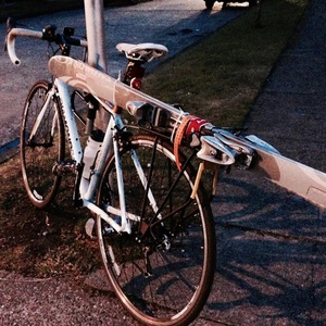 Diamondback White