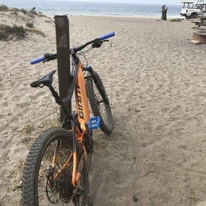 2019 Giant eTrance + Orange