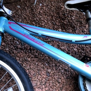 2010 Specialized Teal