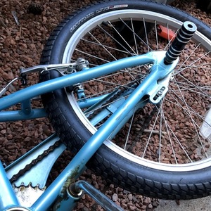 2010 Specialized Teal