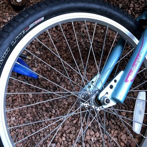 2010 Specialized Teal