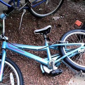 2010 Specialized Teal