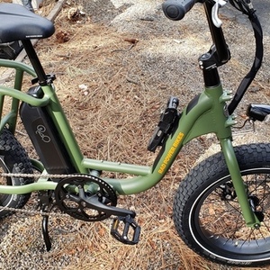2021 Rad Power Bikes RADRUNNER Green