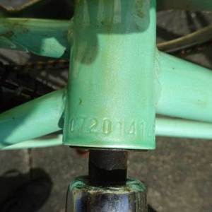 Unknown Single Speed Green