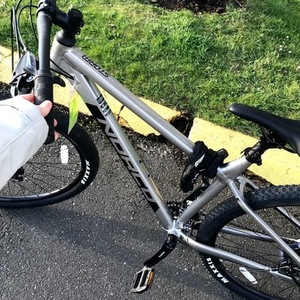 2021 Norco Bikes Storm Silver, gray or bare metal