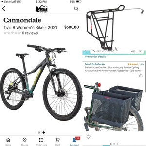 2021 REI Cannondale Silver, gray or bare metal and Green