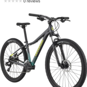 2021 REI Cannondale Silver, gray or bare metal and Green