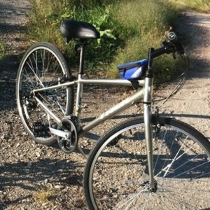2015 Trek 7.0 FX Silver, gray or bare metal